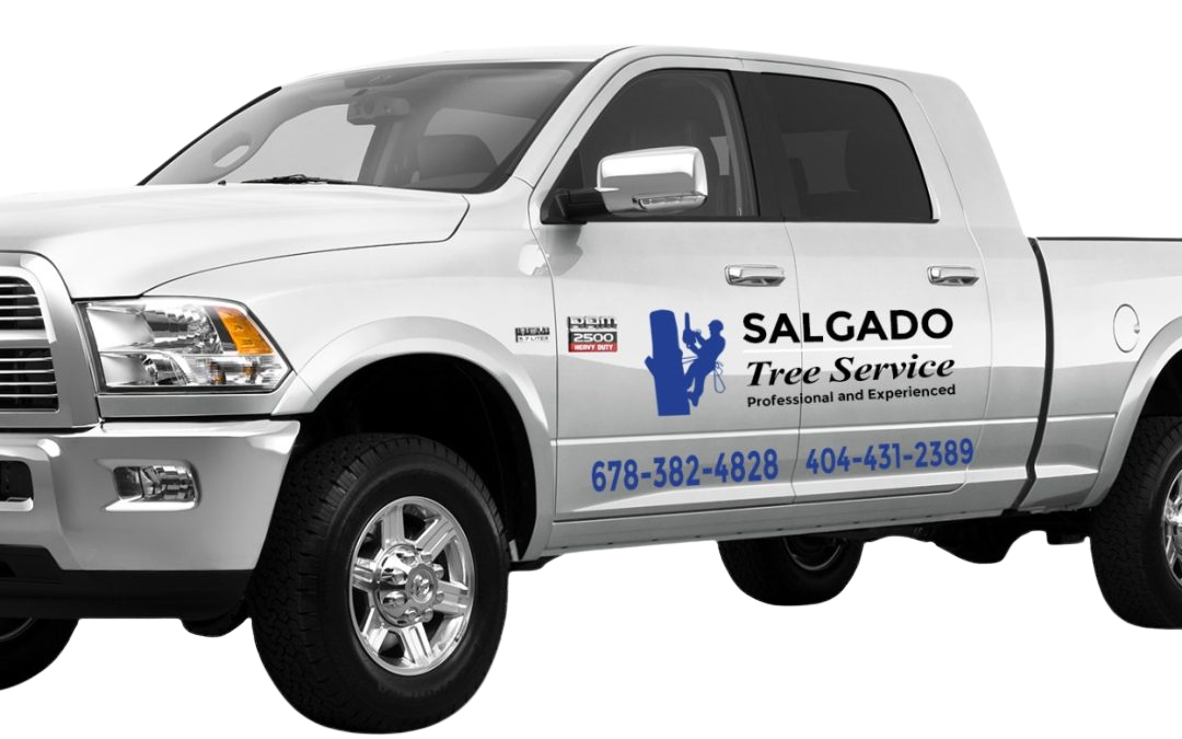 Salgado tree services vehicle graphics
